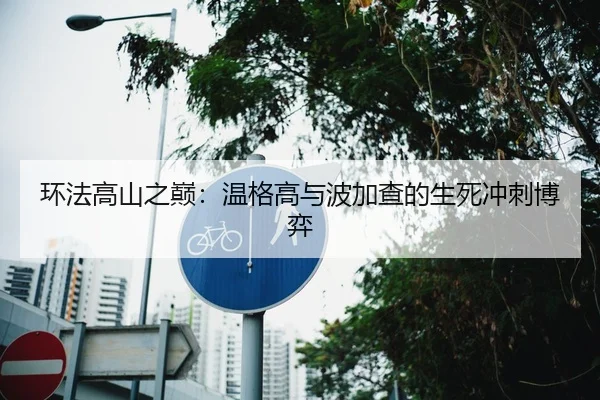 环法高山之巅：温格高与波加查的生死冲刺博弈