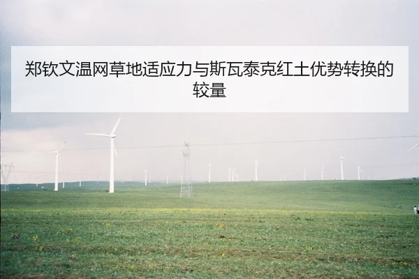 zheng-qin-wen-wen-wang-cao-di-shi-ying-li-yu-si-wa-tai-ke-hong-tu-you-shi-zhuan-huan-de-jiao-liang-2-443.jpg