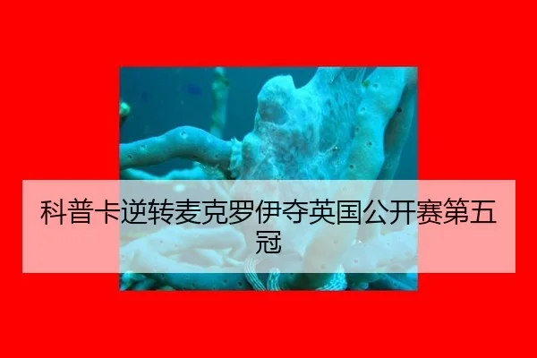 ke-pu-ka-ni-zhuan-mai-ke-luo-yi-duo-ying-guo-gong-kai-sai-di-wu-guan-2-187.jpg