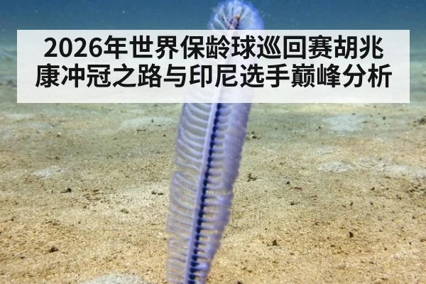 2026年世界保龄球巡回赛胡兆康冲冠之路与印尼选手巅峰分析